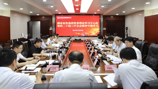 W020240730378012519649_ORIGIN.jpg 澳门新葡萄新京威尼斯黄