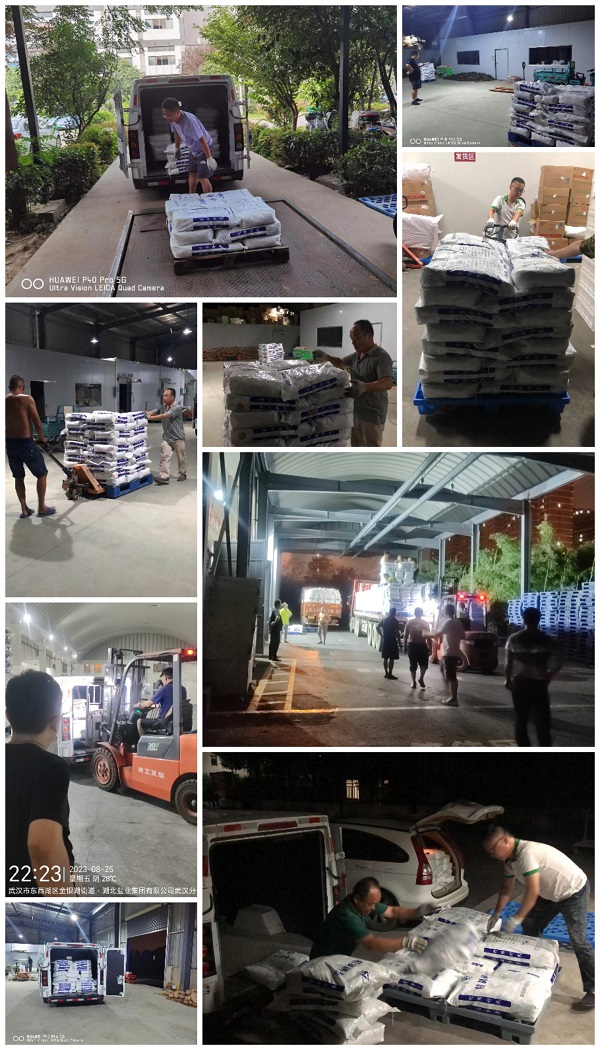 �����������¾�����˹��