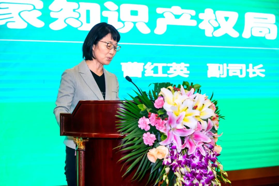 �����������¾�����˹��