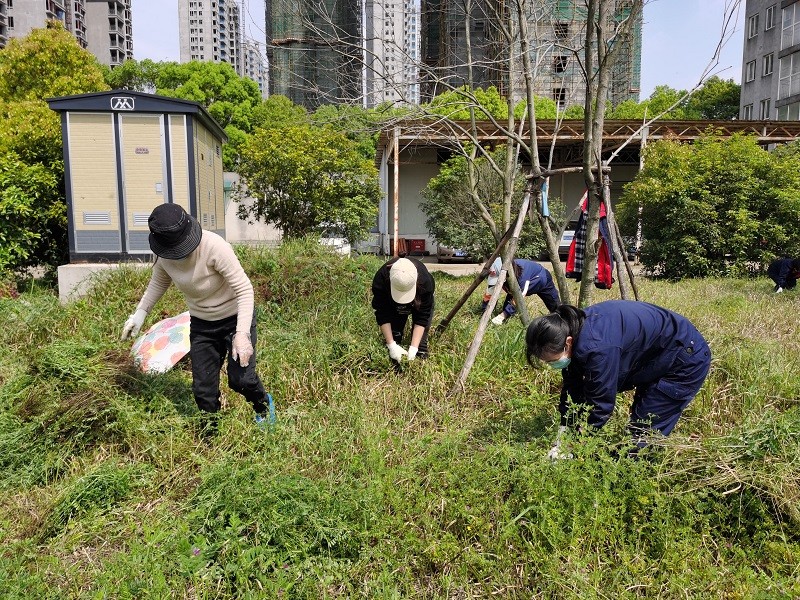 �����������¾�����˹��